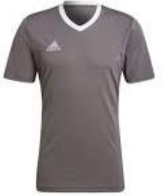 adidas Entrada 22 Jersey Asia Sizing Asia Sizing Grey HE1574