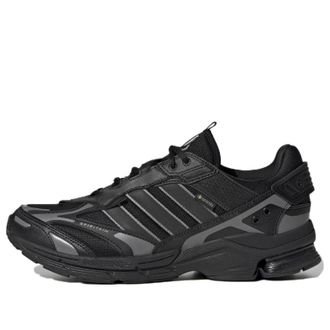 adidas Spiritain 2000 GORE-TEX Black Dark Grey HP6716