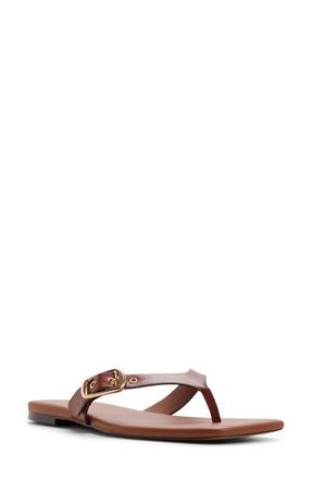 Aldo Leonnia Buckle Flip Flop in Medium Brown at Nordstrom, Size 6.5