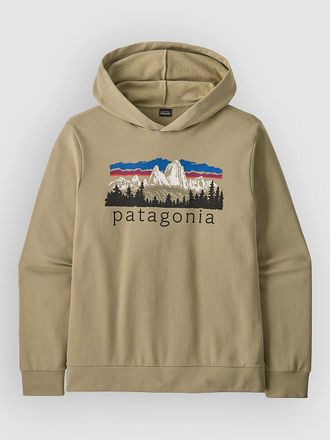 Patagonia Fitz Roy Foothills Daily Hoodie grau