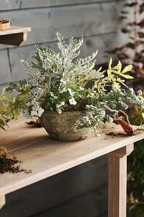 Terrain Barnacle Button Bowl Planter