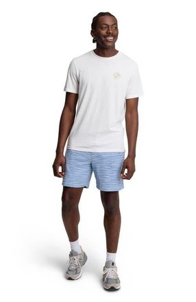 tentree Holmes Short in Lakeside/timber Flash Stripe at Nordstrom, Size Xx-Large