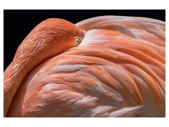 Schubiger M&ouml;bel Bildsystem Peek