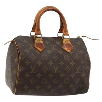 Louis Vuitton Pre-owned Handbags, female, Brown, Size: ONE SIZE Pre-owned Hand Bag