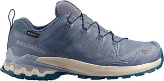 Salomon XA Pro 3D V9 GTX Multisportschuhe f&uuml;r Damen | grau