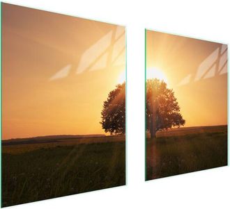 OEM Placa Protectora De Vidrio Para Estufa 85x52 &Aacute;rbol