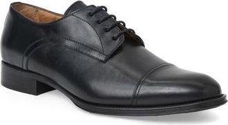 Bruno Magli Borgo Cap Toe Derby in Black Calf at Nordstrom, Size 11.5