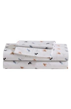 Eddie Bauer Sea Planes 200 Thread Count 100% Cotton Percale Sheet Set in Light Beige at Nordstrom Rack, Size Queen