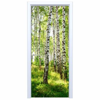 OEM Adhesivo De Tela Para Puerta Con Dise&ntilde;o De Abedules En El Bosque 551pd