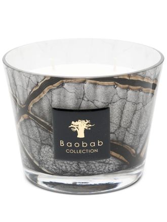 Baobab Candela Les Exclusives Platinum - Toni neutri