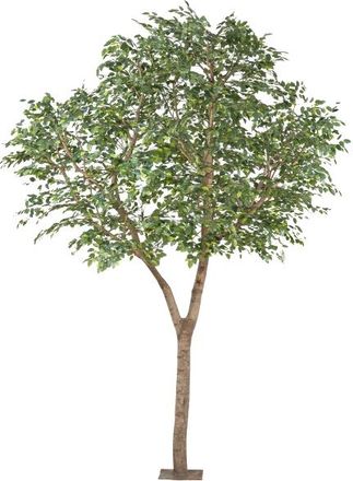 Gasper Kunstpflanzen Ficus Benjamina Naturstamm Auf Metallplatte H: 310