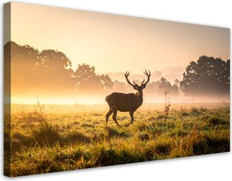 Feeby Cuadro Sobre Lienzo, Paisaje Ciervo En Celo En La Niebla, 120x60