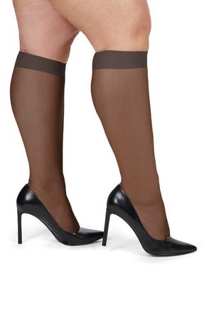 MeMoi 6-Pack Silky Sheer Curvy Knee High Socks in Off Black at Nordstrom, Size 1X