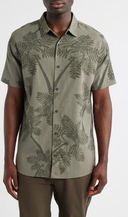 Roark Bless Up Short Sleeve Button-Up Shirt in Light Army at Nordstrom Rack, Size Small
