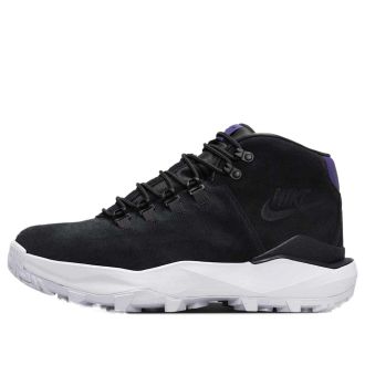 Nike Cygnal Black Court Purple FV4332-001