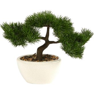 Nearly Natural 10-in Cedar Bonsai Artificial Tree in Decorative Planter in Green at Nordstrom