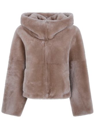 BLANCHA Jacket Merino Shearling Hazelnut