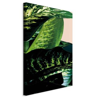 Artgeist Imagen - Dieffenbachia (1 Parte) Vertical