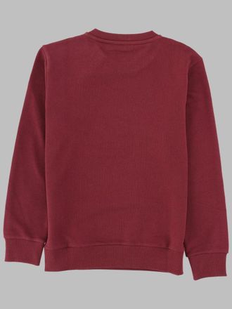 Balmain Cotton Sweatshirt - Brown