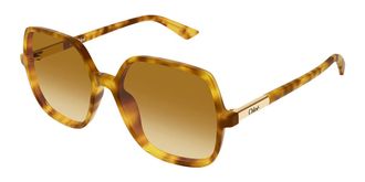 Chlo&eacute; CH0362S 004 Womens Sunglasses Tortoiseshell Size 55