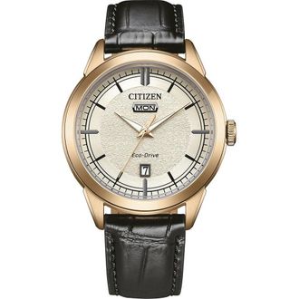 Citizen Heren Horloge Zwart AW0153-04AC