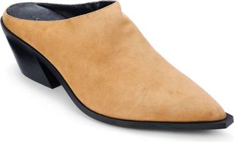 Yosi Samra Womens Savile Pointed Toe Mules In Whiskey Suede