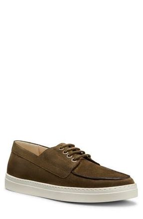 Stuart Weitzman Bristol Oxford Sneaker in Olive. at Nordstrom Rack, Size 11.5