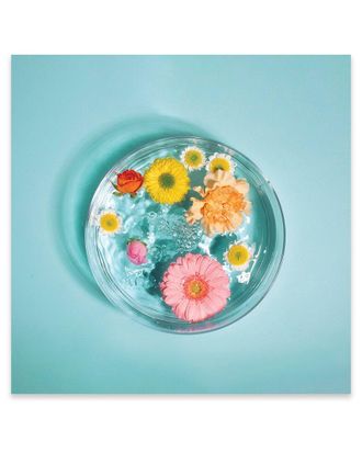 iCanvas Icanvas Spring Water Print On Acrylic Glass By Pepino De Mar