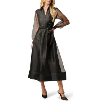 Adrianna Papell Organza Long Sleeve Gown in Black at Nordstrom, Size 14