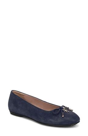 Naturalizer Ashlyn Ballet Flat in Istmo Navy at Nordstrom, Size 9.5