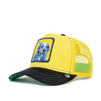 Goorin Brothers Loyal Baseballpet - unisex - Petten - Geel - ONE Size - Accessoires