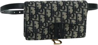 Dior Pre-owned Belt Bags, female, Multicolor, Size: ONE SIZE Pre-owned Trotter Canvas Waist Bag
