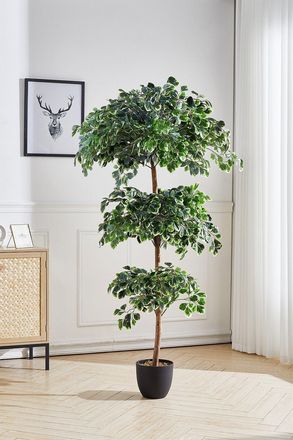 Living and Home 185Cm H Artificial Zamioculcas in Planter for Decoration
