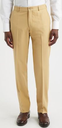 Berle Nano Reflex Pants in Tan at Nordstrom, Size 40
