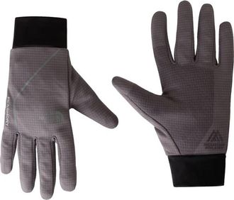 The North Face Flex Flashdry Glove Handschuhe f&uuml;r Herren | grau
