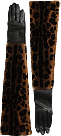 Dolce & Gabbana Brown Black Leopard Leather Elbow Length Womens Gloves