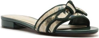 Alexandre Birman x Agua by Agua Bendita Grosgrain Raffia Slide Sandal in Laguna Off/Green at Nordstrom, Size 10.5