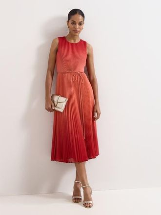 Phase Eight Simara Floral Dress in Red at Nordstrom, Size 10