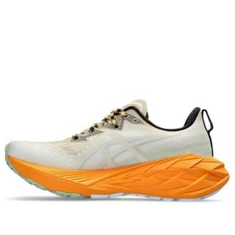 Asics Novablast 4 TR Nature Bathing Fellow Yellow Orange 1011B850-250