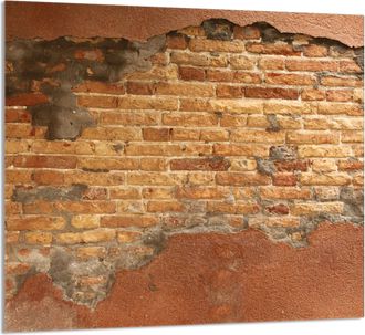 OEM Pannello In Vetro Per Cucina 65x60 Brick