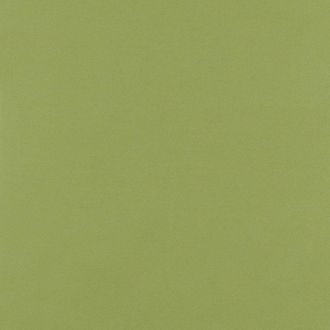 Ballard Designs Canvas Kiwi Sunbrella Performance Fabric by the Yard - Ballard Designs