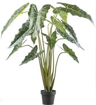 Schubiger M&ouml;bel Kunstpflanzen Alocasia Zebrina Sarian im Kunststofftopf H: 160 c