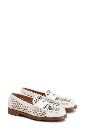 Tod's Laser Cut Calfskin Loafer in Bianco Calce at Nordstrom, Size 8Us