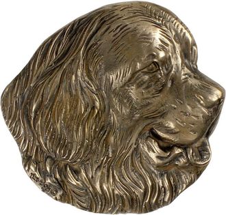 OEM Terranova, Terranova, Cascada: Una Placa Conmemorativa Con Un Perro, Un Agradecimiento Personalizado, Un Premio, Un Diploma Con Dedicatoria De La Marc