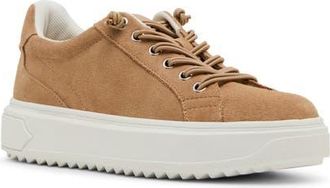 Blondo Greer Waterproof Sneaker in Almond Suede at Nordstrom, Size 7.5