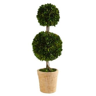 Nearly Natural 2.5-ft Preserved Boxwood Double Ball Topiary Tree in Decorative Planter in Green at Nordstrom