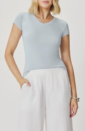 Splendid Josie Stretch V-Neck T-Shirt in Country Air Blue at Nordstrom, Size Medium