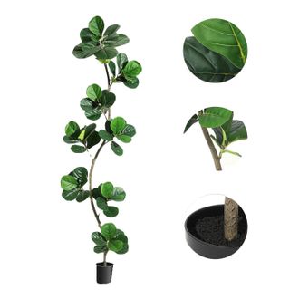 OEM Ficus Lyrata Artificial, Dise&ntilde;o Realista, F&aacute;cil Mantenimiento, 210 Cm