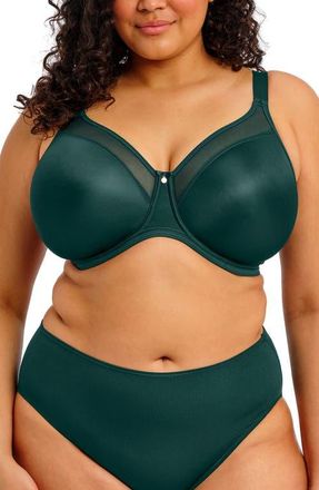 Elomi Smooth Underwire Bra in Deep Emerald at Nordstrom, Size 34Gg