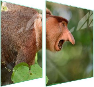 OEM Placa Protectora De Vidrio Para Estufa 70x52 Nosacz